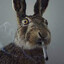 BundleBunny