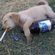 Стив Блоуджобс