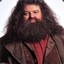 Hagrid