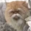 isak