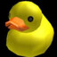 duckie_dude