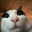 fizZ_breeZer