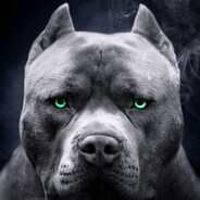 Pitbull
