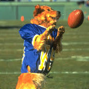 Air Bud