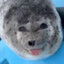 SealyTheSeal