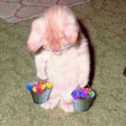 能不能起床啊哥