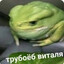 трубоеб виталя