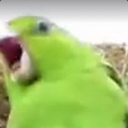 TheBloodSlug