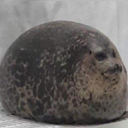 iamseal