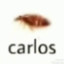 Carlos.