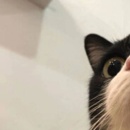 未曾谋面的也终将会相