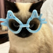 又要说我了对吗