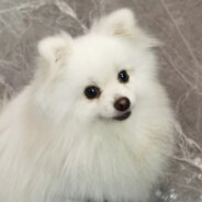 香蕉味牛奶饮料