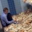 BreadParanoïa