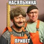 свиные отруби