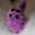 _pingvinii_