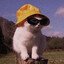 Beth Cats