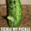 SourPickle