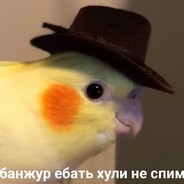 ВАМ ПИ3ДЕЦ-Я ОТЕЦ