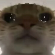 正在偷吃电弧星