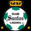 Guerrero del Club Santos Laguna