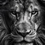 The lion