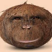 Cornelius Coconut