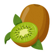 kiwisan