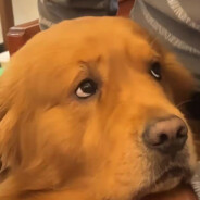 人民有信仰国家有力量