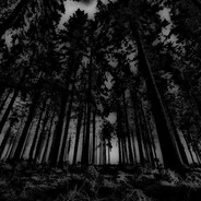 majewski - steam id 76561198808682402