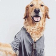 九月落雨画秋凉