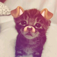 писька бобра