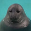 Mister_Blue