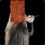 Brick H Dumbledore