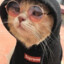 KEDİÖZELHARECAT(KÖH)