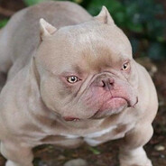 чичирка - steam id 76561199229848205