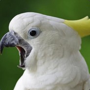FunkyFreshPotatoHead - steam id 76561197971043691