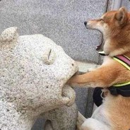 雷斯特勒夫斯基