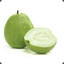 Green Guava