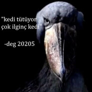 TugiDeg