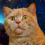 space_cat