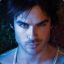 lam somerhalder