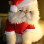 ^cQrwus3Q1awe^ - steam id 76561199048624318