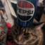 ilovepepsi