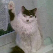 yim