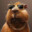 Capybara