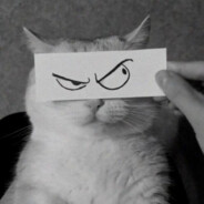 OFF