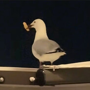 极品南通曾思佳