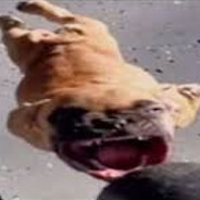 Skrrt