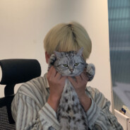 很多经常不胜枚举